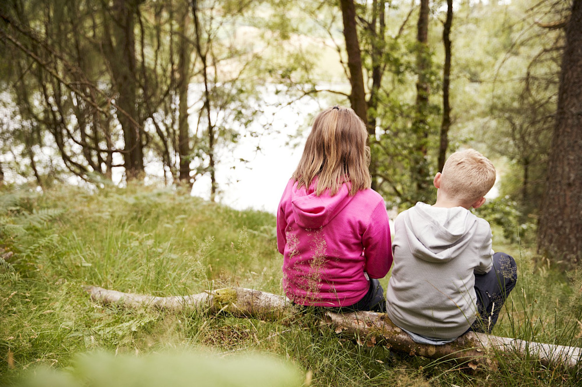 To små barn sitter alene i skogen på en trestamme