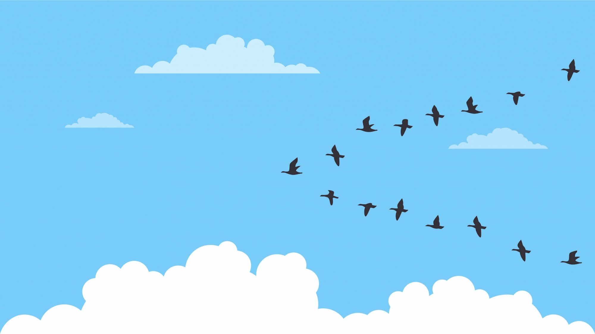 Illustration of a flock of birds migrating