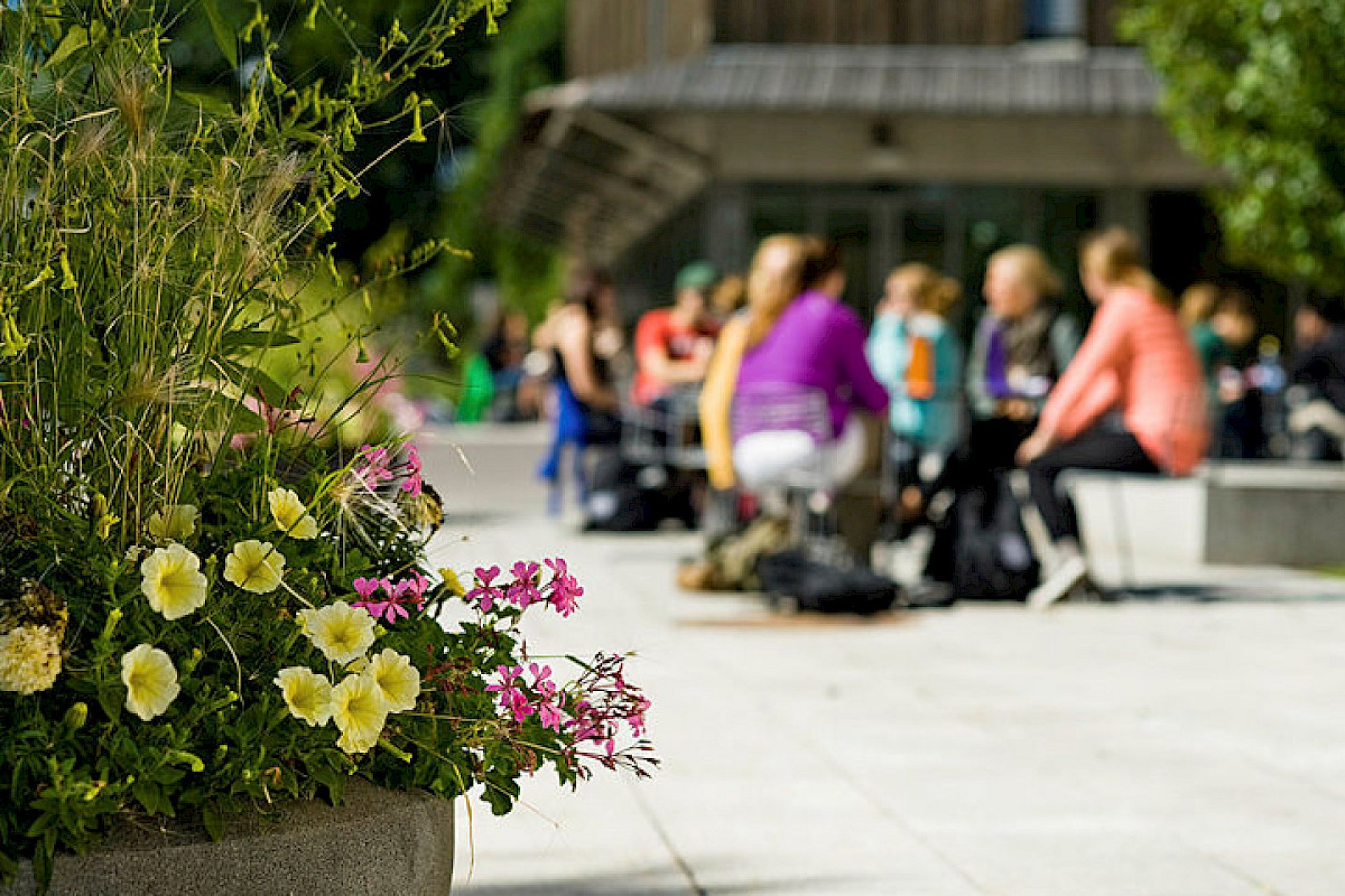 En gruppe studenter sitter utendørs på campus.